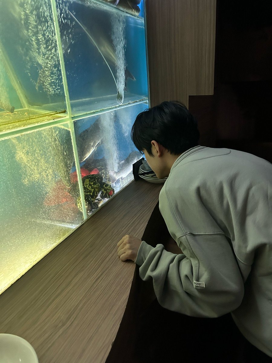 tapiiocacat's tweet photo. 저 물고기 보는거 좋아해요 https://t.co/JAKtNVBIEz