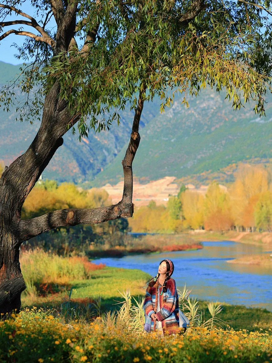 noxo_4305a's tweet photo. A classic moment at the beautiful Lijiang, where modern travelers relax and find peace. https://t.co/5671DEJUcu