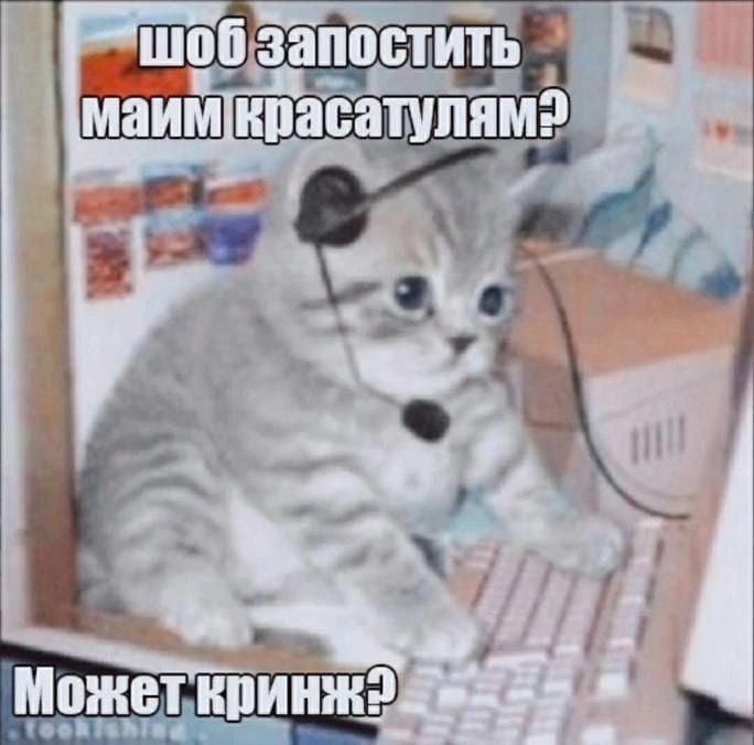 1686_kim's tweet photo. https://t.co/59zQek1bpD