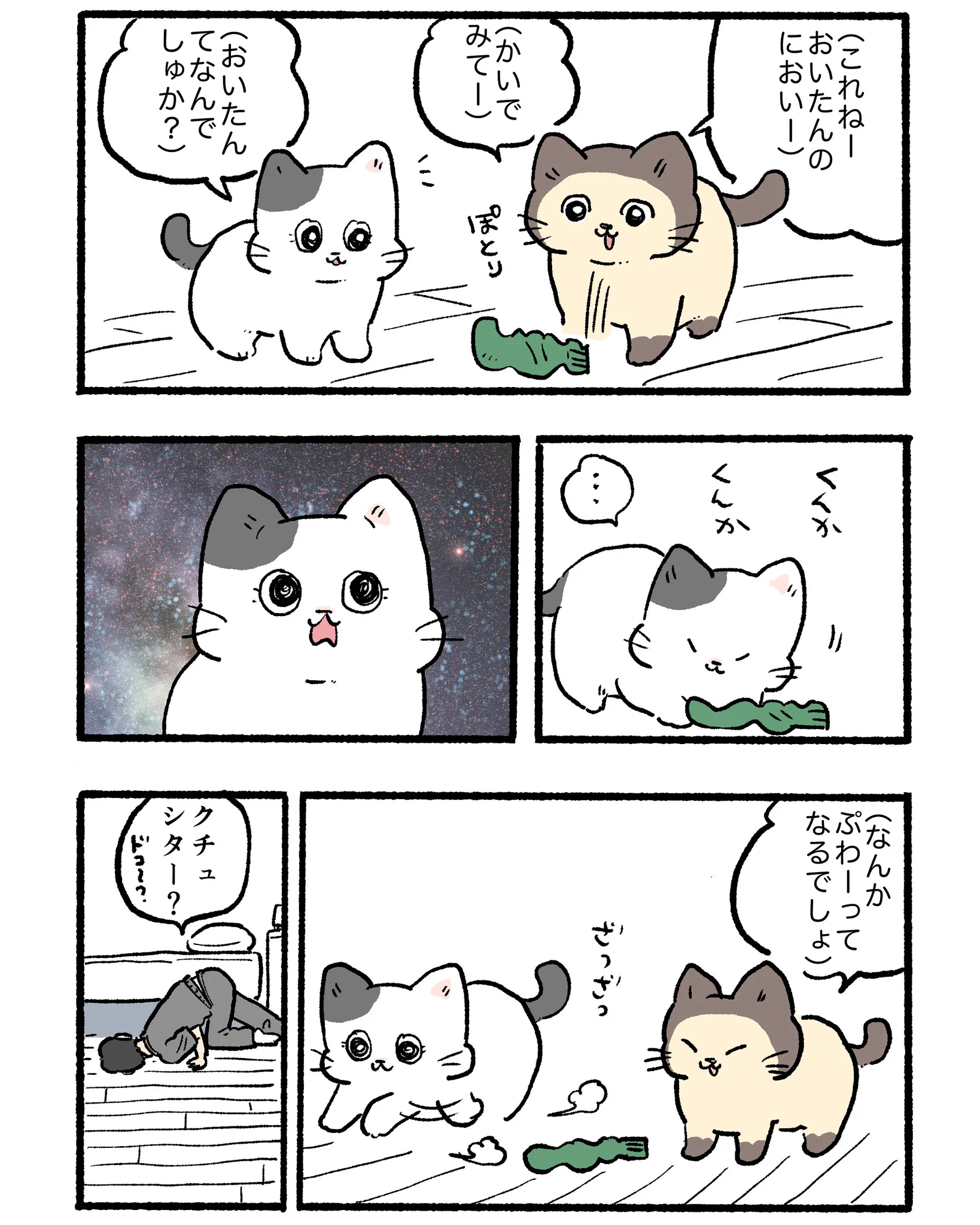 やじま@ねこおじ7・8巻発売中🐱 a X: 