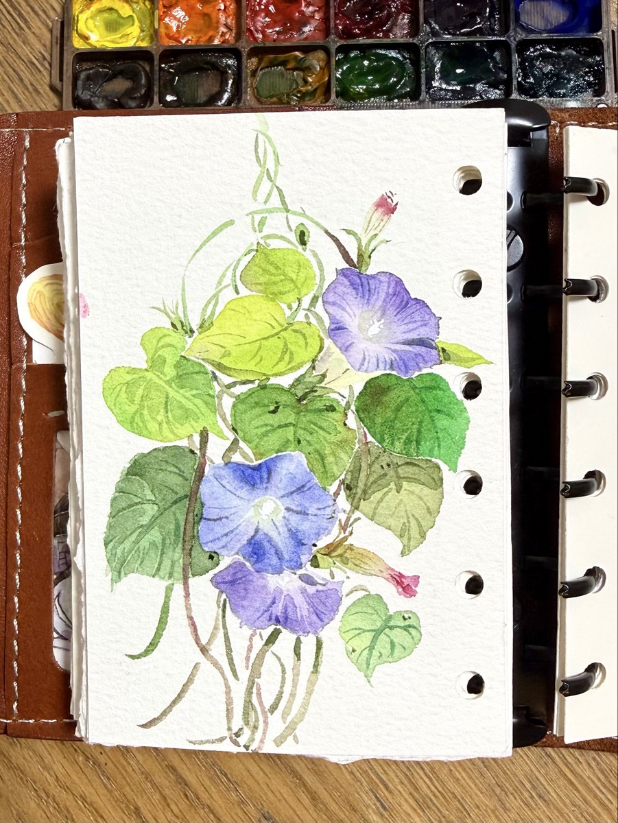 DingpingCn's tweet photo. 夜のちょこっと練習🎨
また夕顔（ゆうがお）の季節がやってきましたね〜🌿 https://t.co/sOKTSxpmAd