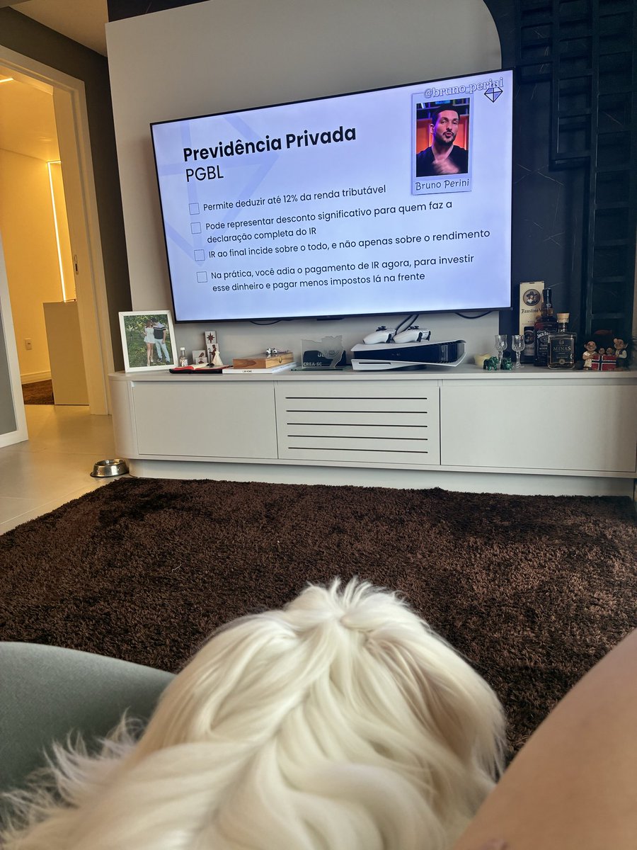 capiiiitu's tweet photo. maltês aprendendo previdência https://t.co/IBxz5LQ4B5