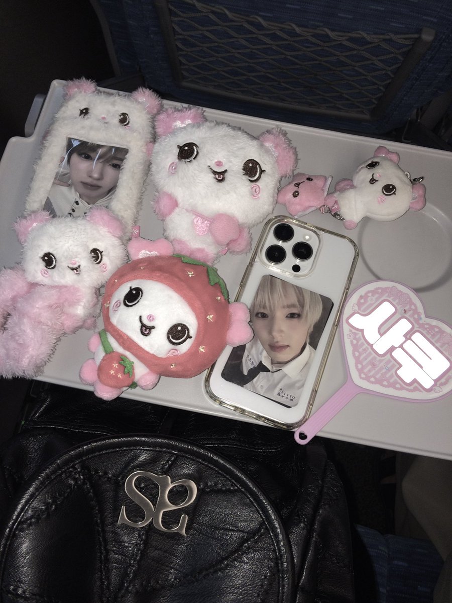 39myonlysk's tweet photo. 260829♥
学ランうぃしかっこよすぎて緊張した😭♡
 #시즈니말팔 #ウィシズニ https://t.co/kdmmTd7k8w
