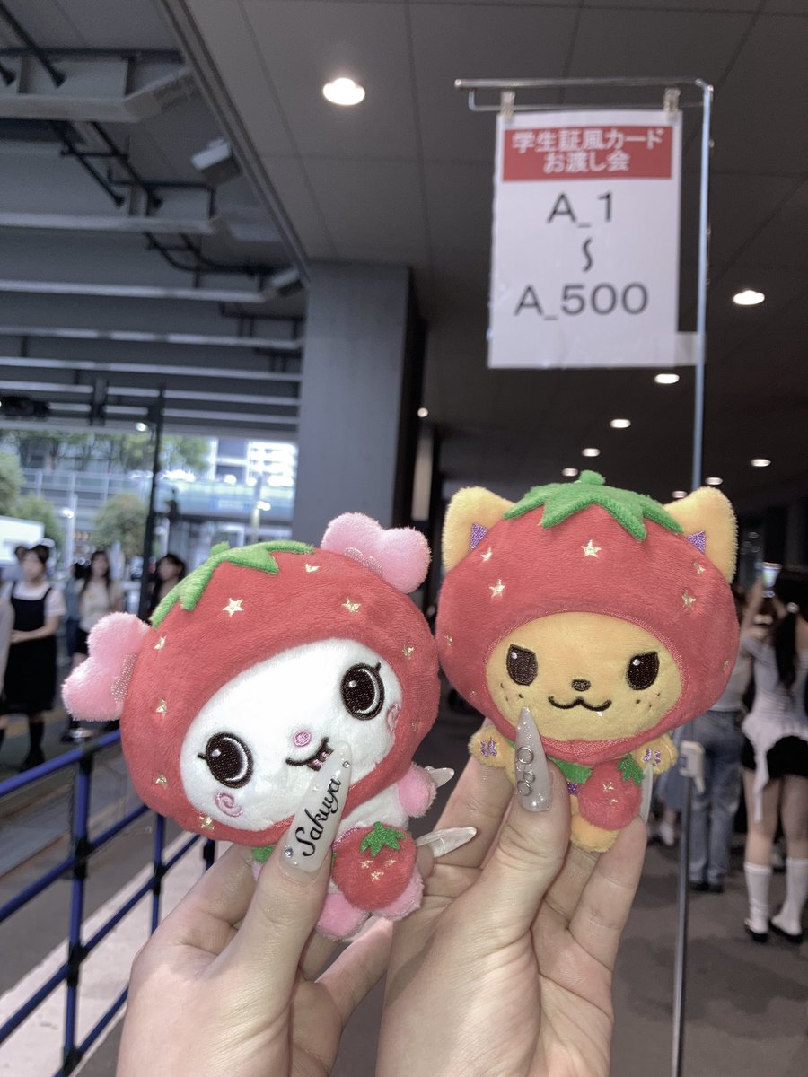 39myonlysk's tweet photo. 260829♥
学ランうぃしかっこよすぎて緊張した😭♡
 #시즈니말팔 #ウィシズニ https://t.co/kdmmTd7k8w