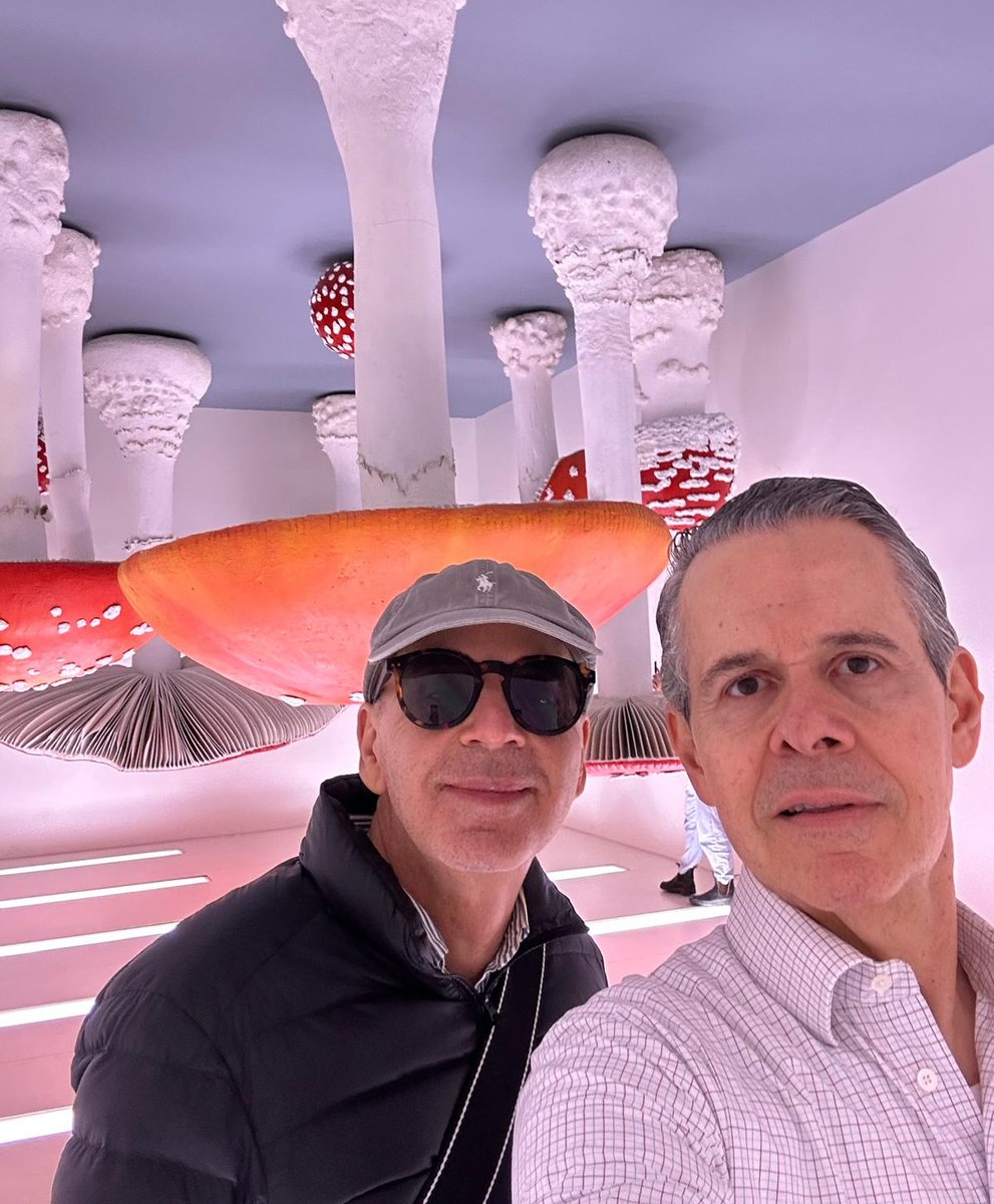 Chiaymvtg's tweet photo. CARSTEN HOLLER - MUSHROOMS #topoftop #hppic #travellovers #wanderlust https://t.co/CgZO7l9Oya