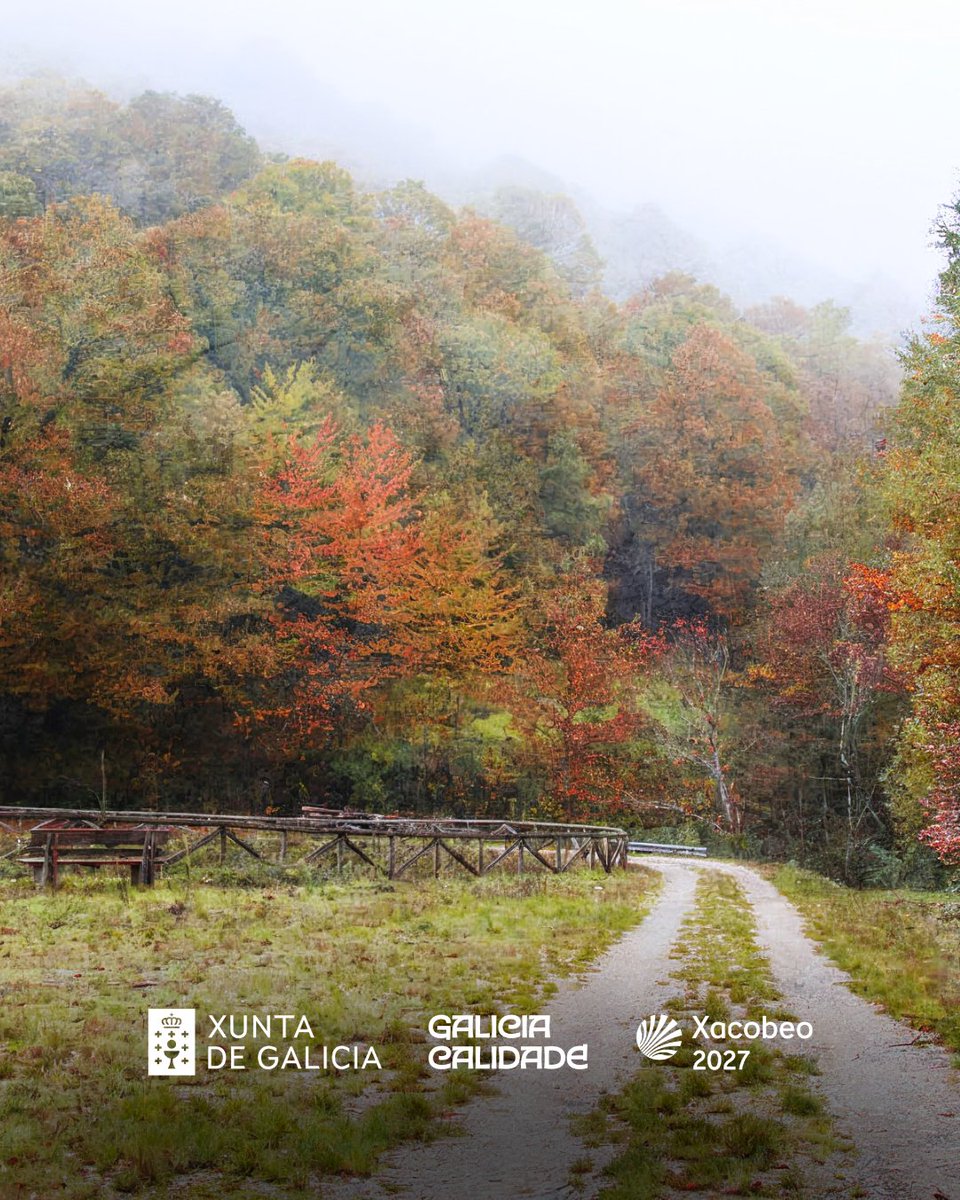 Turgalicia's tweet photo. 🍂 Xa falta pouco para gozar destas imaxes.

Cal é o teu lugar preferido de Galicia para ver as cores do outono?

🍂 Ya falta poco para disfrutar de estas imágenes.

¿Cuál es tu lugar preferido en Galicia para ver los colores del otoño?

🍂 It won’t be long before we can enjoy these beautiful autumn scenes.

What’s your favourite place in Galicia to see the colours of autumn?

#Galicia #GaliciaCalidade #Xacobeo2027 #Otoño