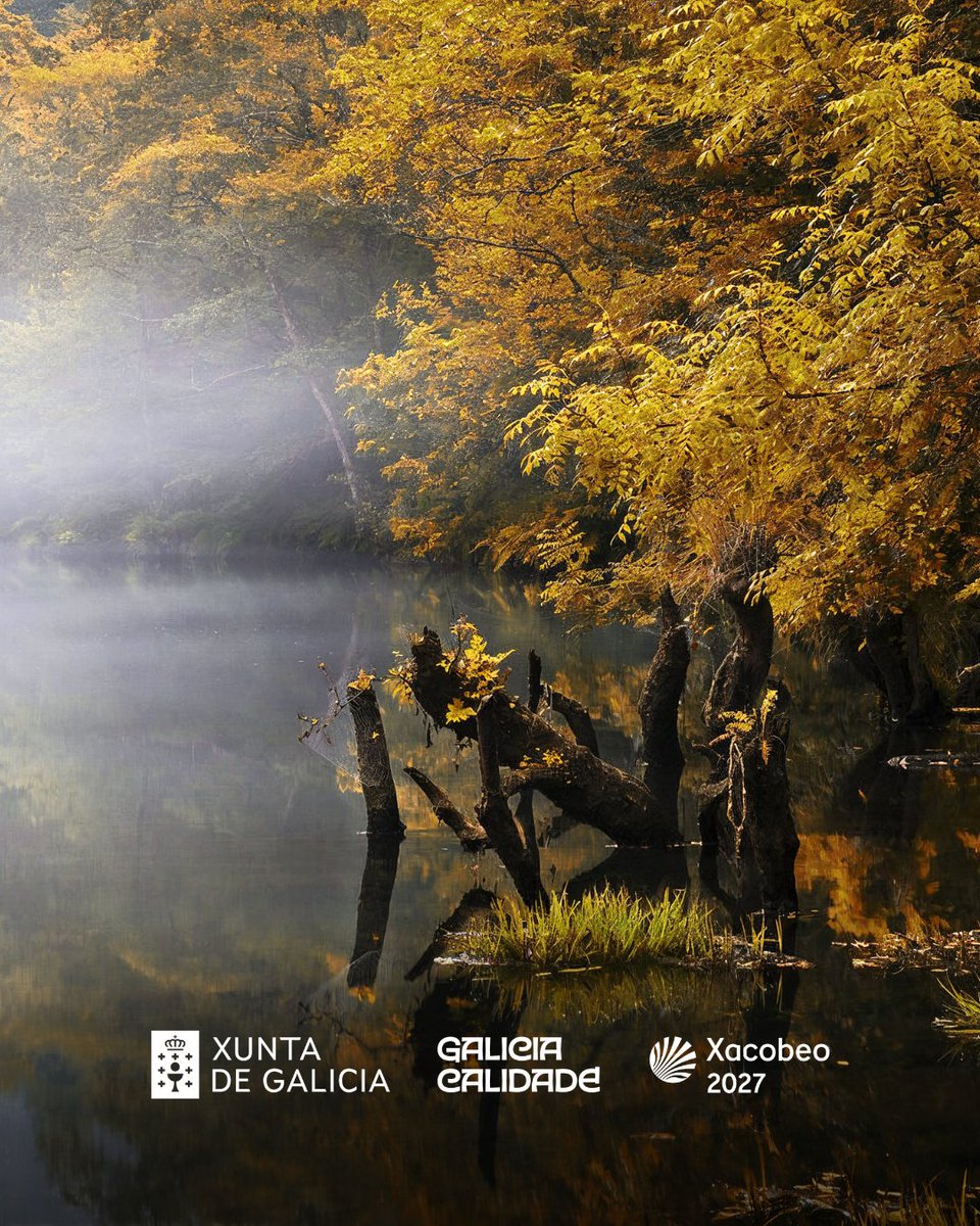 Turgalicia's tweet photo. 🍂 Xa falta pouco para gozar destas imaxes.

Cal é o teu lugar preferido de Galicia para ver as cores do outono?

🍂 Ya falta poco para disfrutar de estas imágenes.

¿Cuál es tu lugar preferido en Galicia para ver los colores del otoño?

🍂 It won’t be long before we can enjoy these beautiful autumn scenes.

What’s your favourite place in Galicia to see the colours of autumn?

#Galicia #GaliciaCalidade #Xacobeo2027 #Otoño