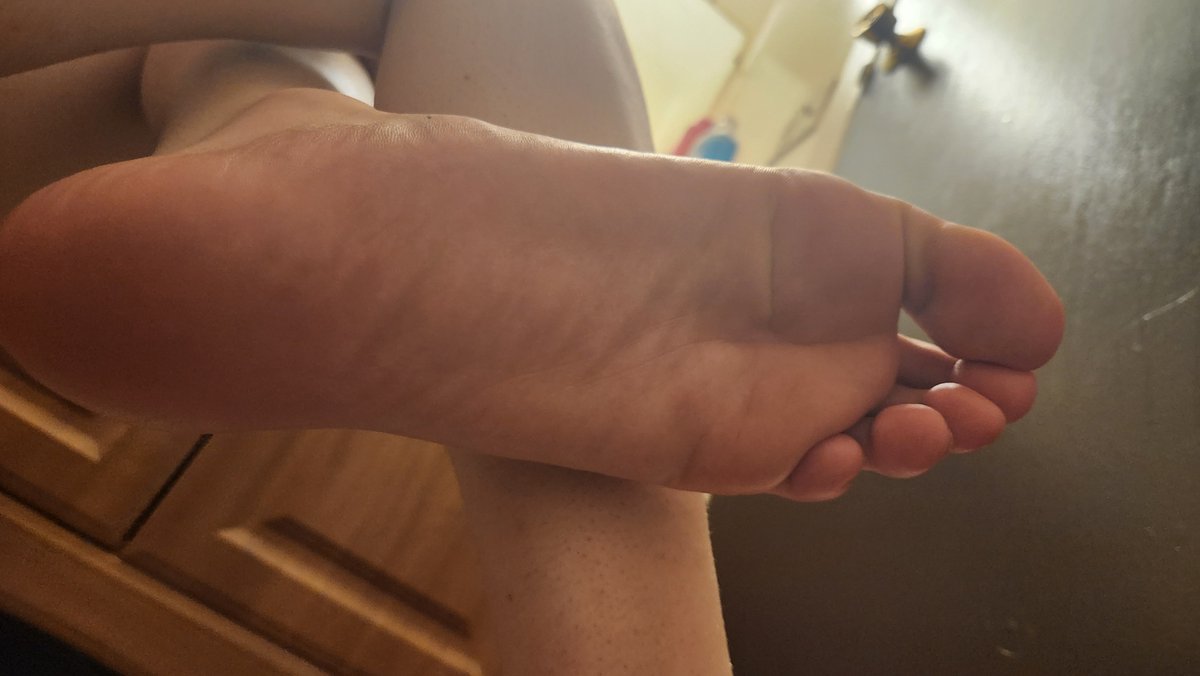 PawsOfJackson's tweet photo. Oh if only someooone was able to stuff their face into my feet... https://t.co/stzzuVgcxh
