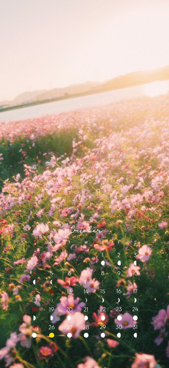 _kotoba_drops's tweet photo. を。先生@Cokohore11 の素晴らしいデータをお借りして10月の写真作品カレンダーを制作しました。

ご自由に保存・ご利用ください🌙(見づらいやつもあるよ)

#calendar https://t.co/K70On0W2xe