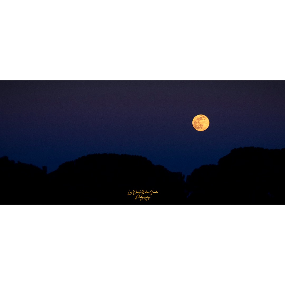 JBiebalicious's tweet photo. 2023
Nikon Z5
#Nikon #NikonPhotography #NikonShot #NikonCreators #MoonPhotography #FullMoon #NightScape #Astrophotography #LandscapePhotography #VisualsOfLife #ArtOfVisuals #FotoDelDia #FotografiaNocturna #LunaLlena #FotografosLatinoamericanos https://t.co/4zWaBtZfzF