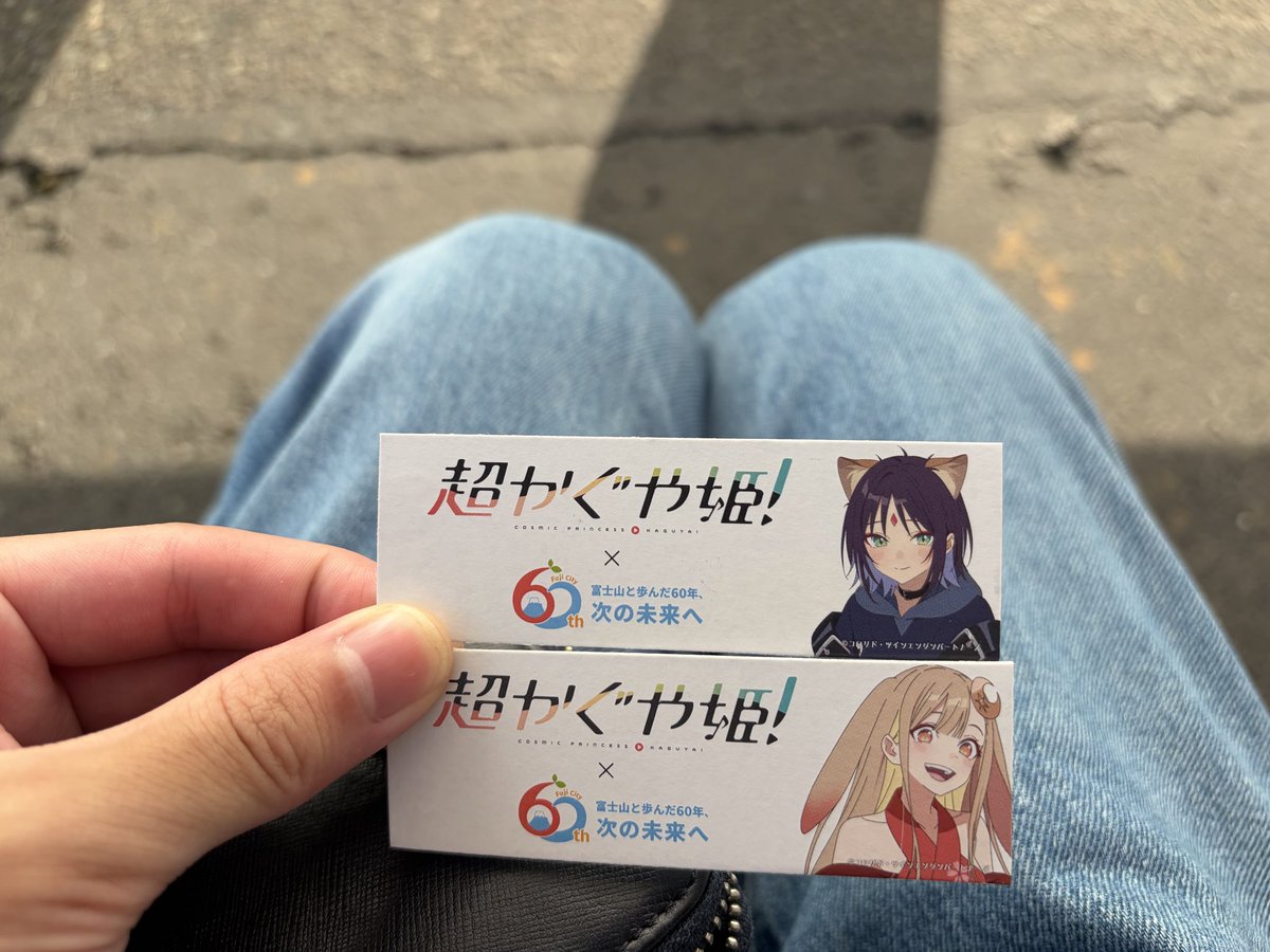 railrailsub's tweet photo. 無事帰宅！
帰り道で岳南電車寄って一日乗車券も買って富士市役所で写真も撮れて満足です！ https://t.co/ePj7QiD1NK
