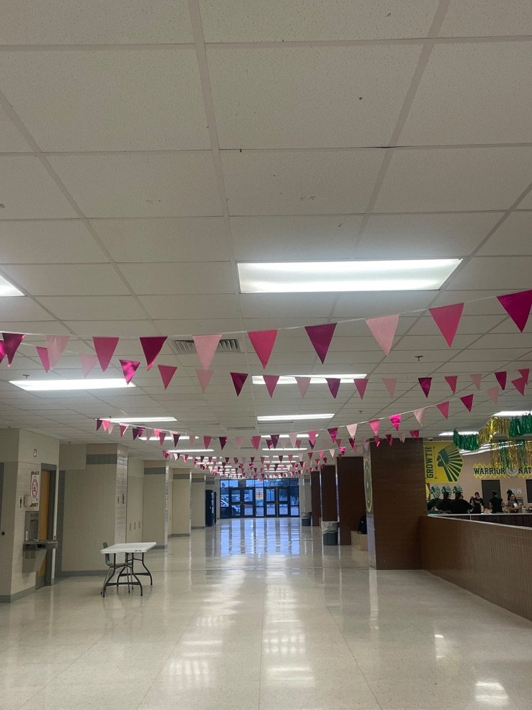Rowe006's tweet photo. This month, Rowe PTO stands together in support of Cancer Awareness and honors all those who are fighting, those who have won their battle, and those we remember. 🎗️ https://t.co/sQL7cvR4gi