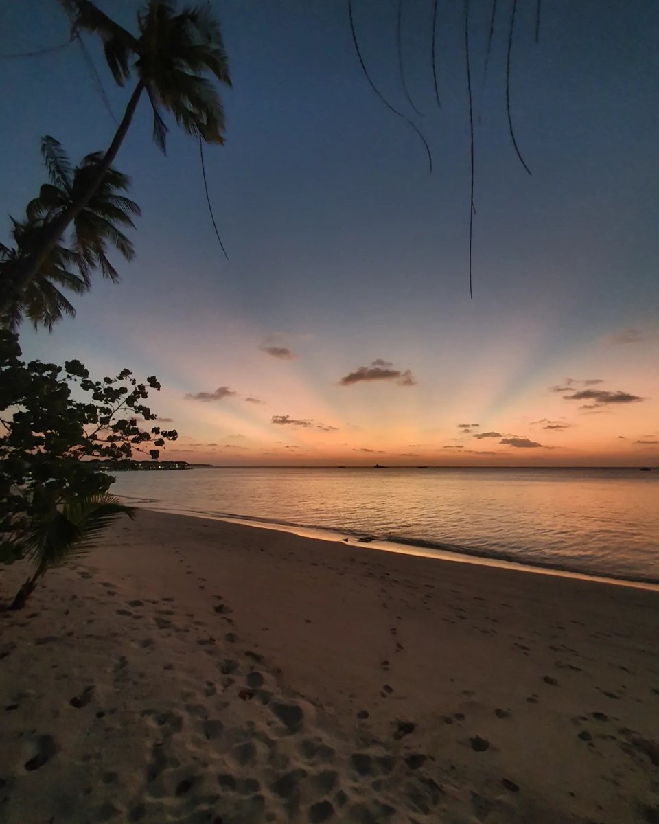 Deirdreeg74's tweet photo. #paradise #sunset #sunsetlovers #sunsetphotography #sundown #sunsetsky #sunsetbeach #sunsetgram #sunsetcolors #sunsethunter #photooftheday #sunsetoftheday #malediven #maldives #igsunset #indianocean #fotooftheday #bestvacations #worldplaces https://t.co/e7zJxHqQH7
