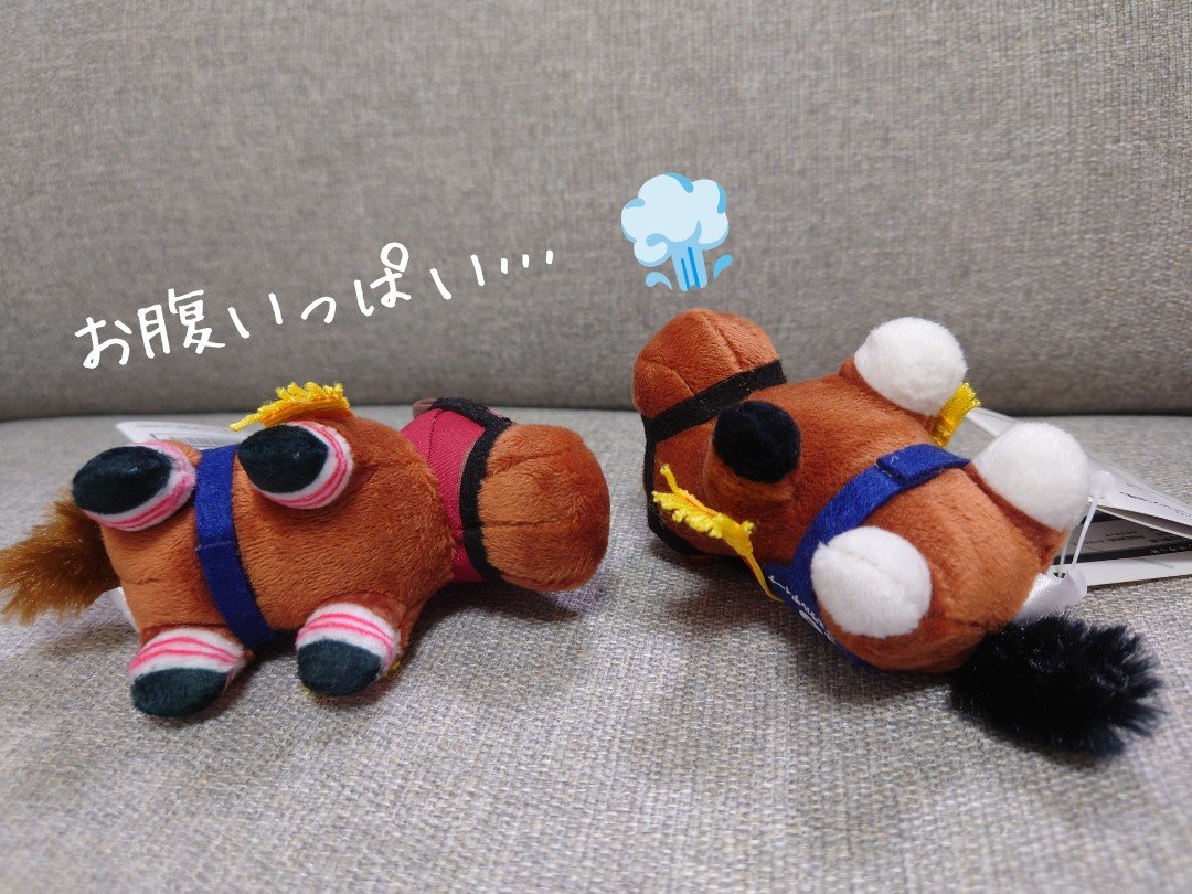 anmioimna's tweet photo. 飯テロ🐴

「ララ！大変よ！主がこんな時間に鳥の唐揚げを大量に揚げてるわ！」
「それは大変！現場に急行よ！揚げたてをいただくわ！ 」

「ケフー、お腹いっぱい〜…」
「 唐揚げは揚げたてに限るわ〜…」

醤油唐揚げです🐓
久しぶりに作りましたが美味しくできました〜😋色んな意味で揚げす���た… https://t.co/DxXCpNrJCA