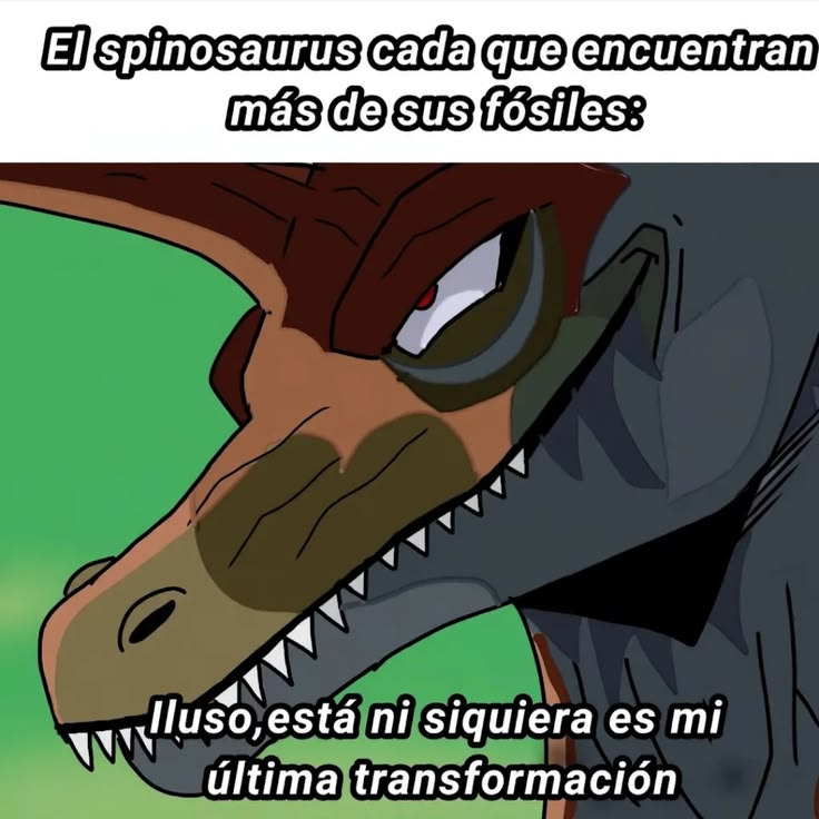don_zalek's tweet photo. Buenas, todo bien? https://t.co/aHypWiQUun