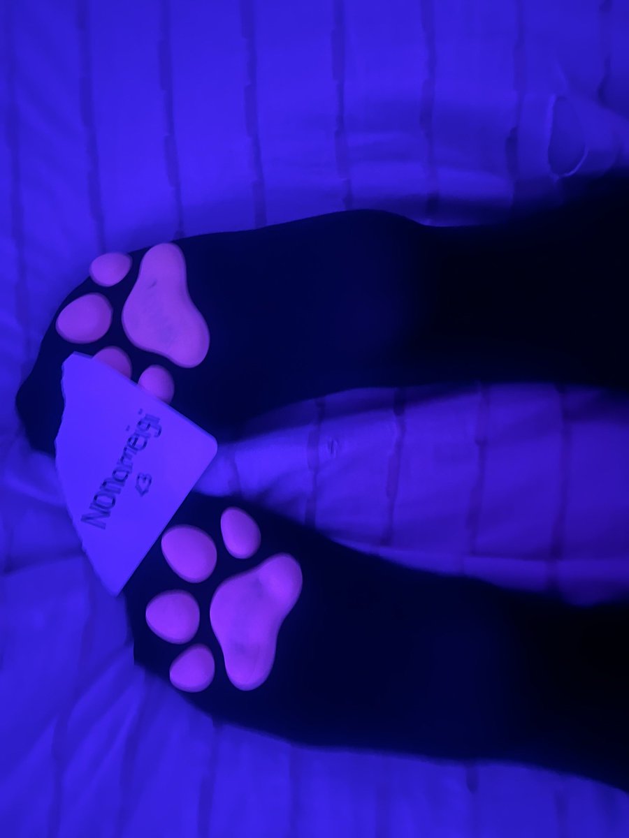 nonameigi's tweet photo. meowww who s gonna spoil meee hehehe #pawsocks #esex #discord #cnc #nsfw #nsfwtwt https://t.co/hTwNTRncw7