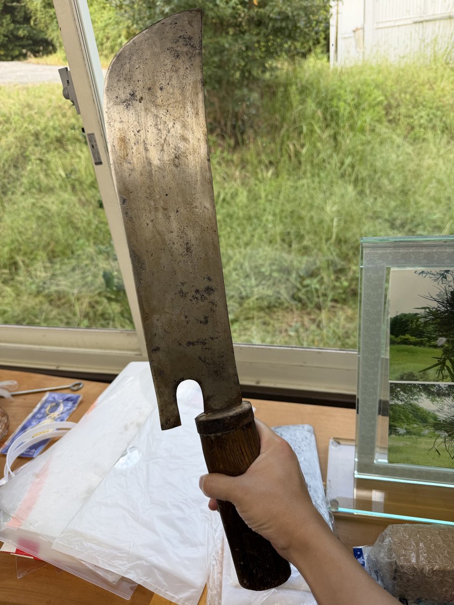 sakone_shogen's tweet photo. 「解体現場から大仰な刃物が出てきたから見て欲しい」とお願いされ、見に行ったら桑切包丁だったでござる
その名の通り、蚕にあげる桑の葉を切る包丁で、大量の桑の葉を切るためにとにかくデカい
何気に手に取るのは初めてやもしれぬ https://t.co/eSDXun7aMk