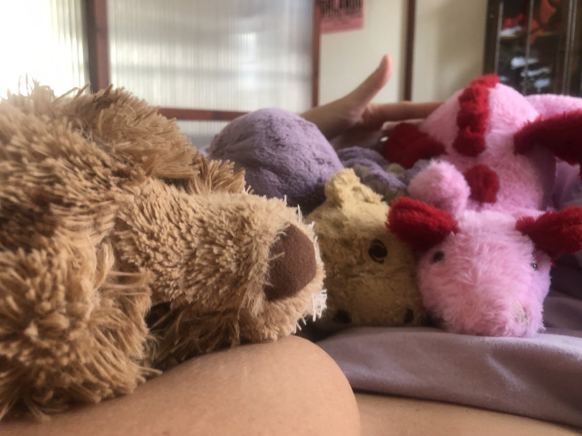 BBGenieDivin's tweet photo. This morning I was cuddling with my friends and they were keeping an eye out to make sure I did NOT come................................................ https://t.co/S3HU1zzdyX