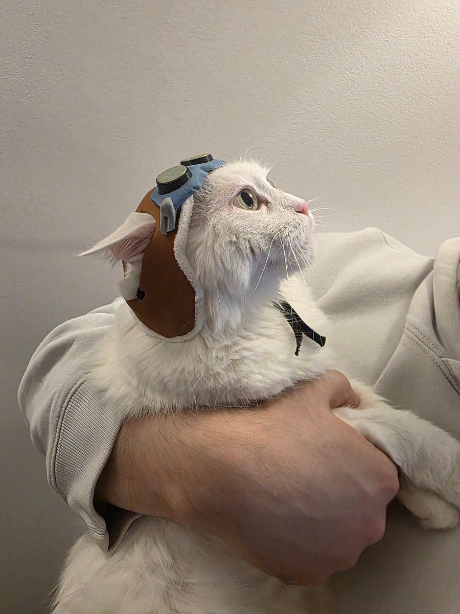 mL7support's tweet photo. Jetpack Cat Olaf https://t.co/Wzc0fnpkIY