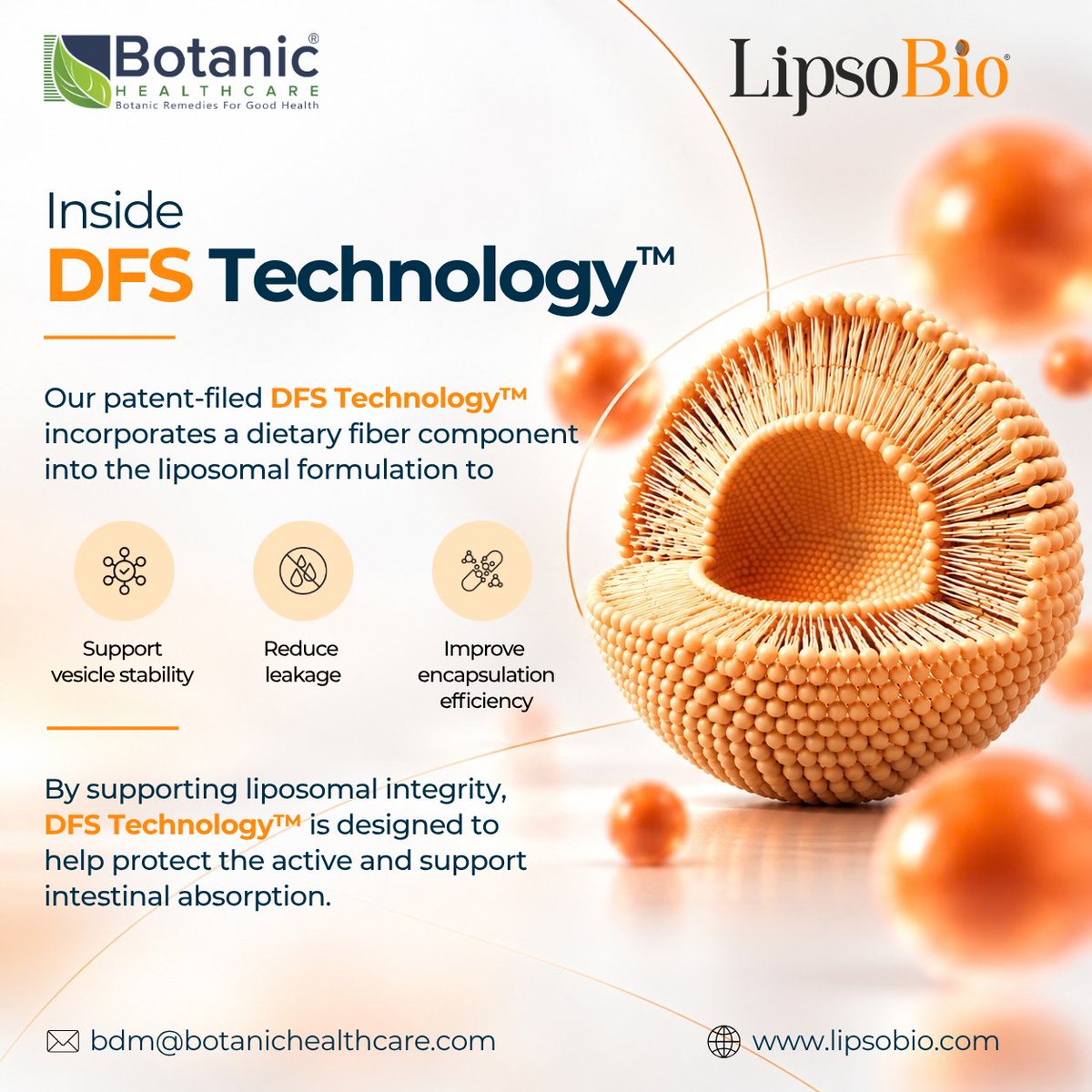 BotanicHealthc1's tweet photo. Conventional liposomes can be susceptible to 𝗹𝗲𝗮𝗸𝗮𝗴𝗲, 𝗮𝗴𝗴𝗿𝗲𝗴𝗮𝘁𝗶𝗼𝗻,and 𝘀𝘁𝗿𝘂𝗰𝘁𝘂𝗿𝗮𝗹 𝗱𝗶𝘀𝗿𝘂𝗽𝘁𝗶𝗼𝗻during gastrointestinal digestion, affecting the stability of the encapsulated active.

#DFSTechnology #LiposomalTechnology #NutraceuticalInnovation https://t.co/c8oeH0pydG