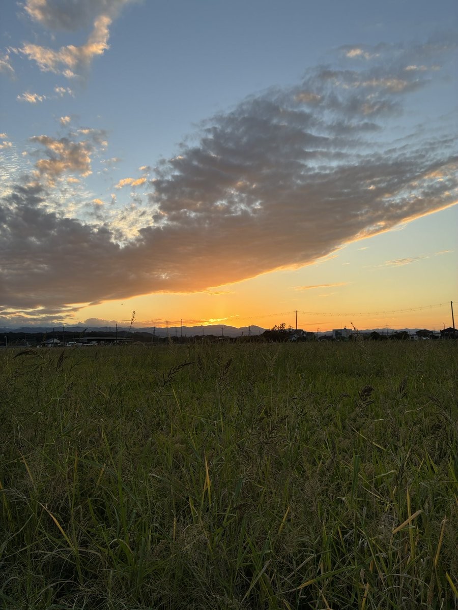 keikyuman's tweet photo. 今日は日没が綺麗に見れました https://t.co/Gaw5OwIgle