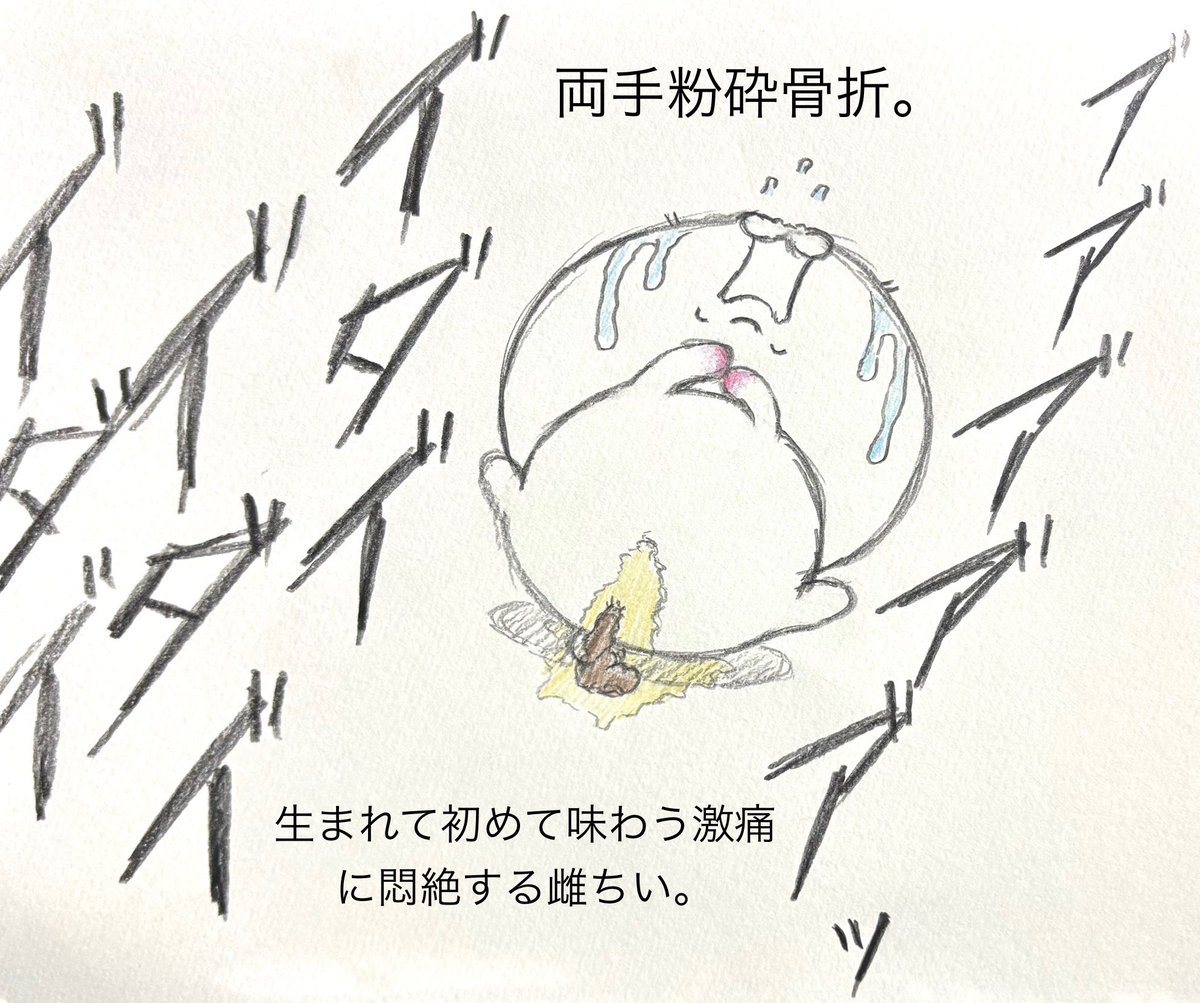 Chiqugj's tweet photo. (22)飼い主は雌ちいの話を聞いた後、優しく両手を取って声をかけた。そして...
#ちい虐 https://t.co/UsOgwNSNhC