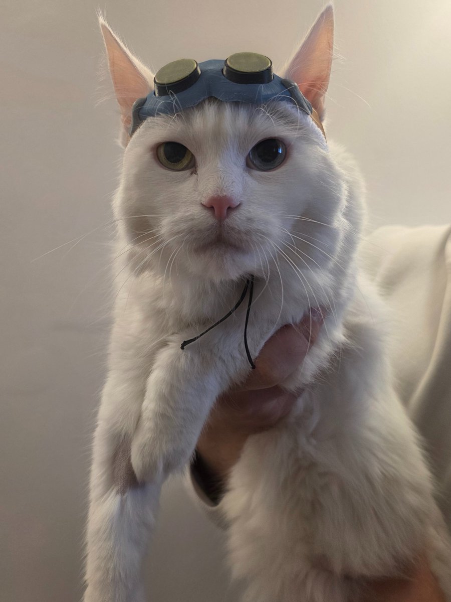 mL7support's tweet photo. Jetpack Cat Olaf https://t.co/Wzc0fnpkIY