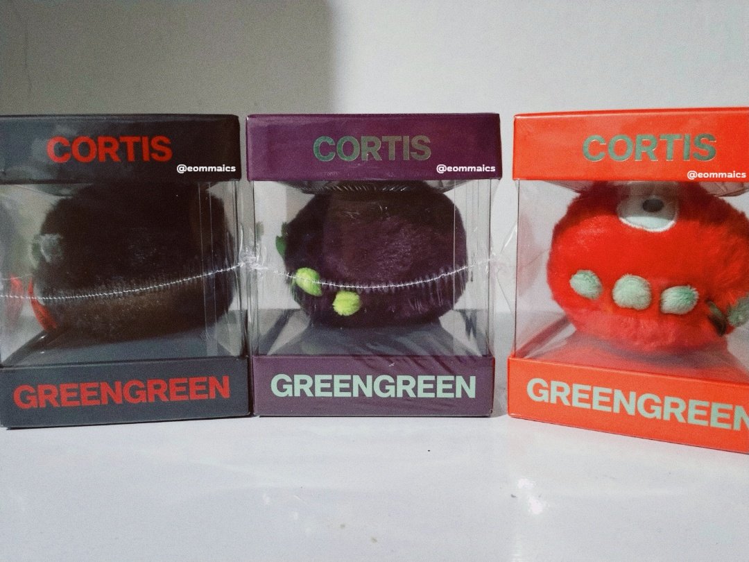 eommaics's tweet photo. 💌 ⌯⌲ #eomaimails 

♯. MY REDRED CORTIS BALL CAME HOME ^o^ FINALLY! 3/3 GREENGREEN CORTIS BALL!!! ⌇ 🙌🏻 https://t.co/toonHBJvmU