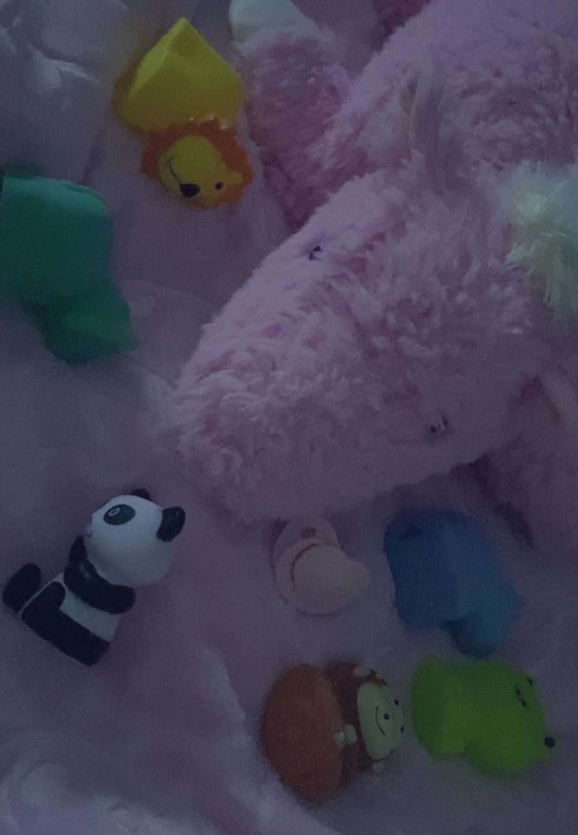 firstgrwde's tweet photo. 🪥🩹unicrn 🍭🍬🦄🦄🦄 https://t.co/EKyl64gw7M