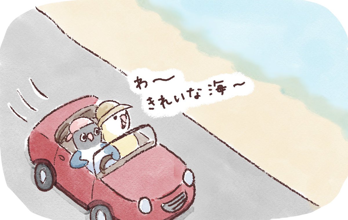 PitchPotchBird's tweet photo. ピッチとポッチの海沿いドライブ🚗

#うちのインコたちは今日もおしゃべり https://t.co/tnxm9xoEPa