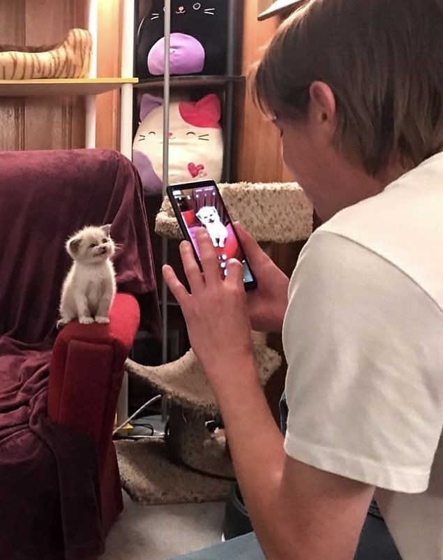 aebywon's tweet photo. Taking a photo of a cute little cat🐱 https://t.co/47ZKWLOr40