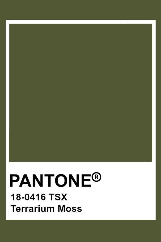 tobymaybe's tweet photo. how pinterest sees me ✨

- fashion
- pantone
- mood
- food https://t.co/C6P8NwEXWw