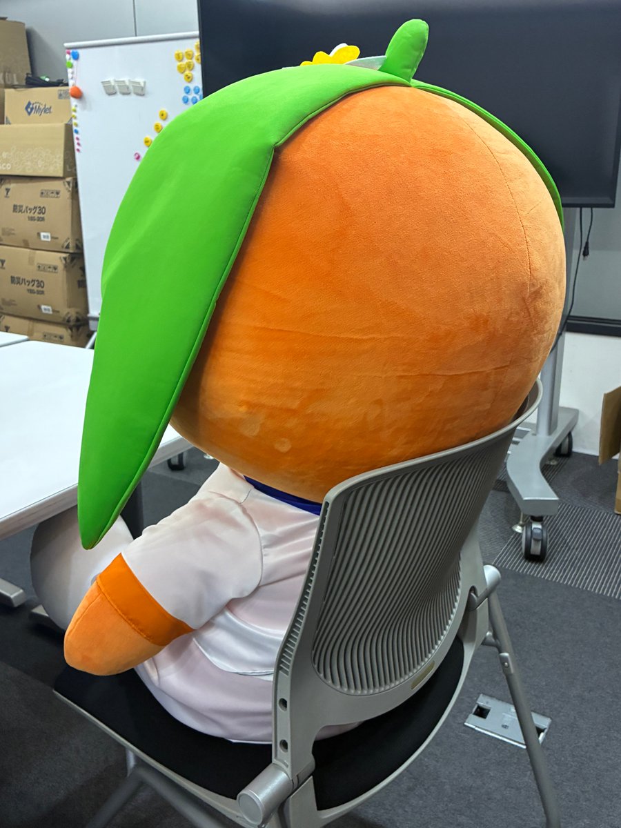 ehimefc_goods's tweet photo. 壁|дﾟ)дﾟ)ﾁﾗﾁﾗ

想像の倍くらいデカかった…

3日の試合会場にサンプル展示予定🍊

#ehimefc #愛媛FC @ehime_fc https://t.co/yBEagcRC7v