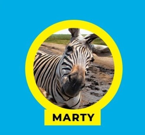 MjoleeG99776's tweet photo. @budgetins The imposter is Marty
@mandisaofficial
#BudgetInsurance 
#BudgetBozza
#BudgetSavvyChoice https://t.co/D5VKfyvmec