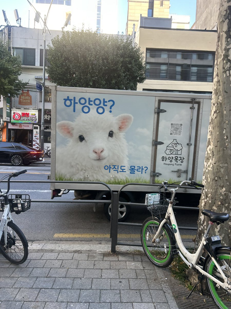 yvwvvw's tweet photo. 韓国外国語大学。
さくやとカイのつぎは羊❣️ https://t.co/cLFZpRiIwQ