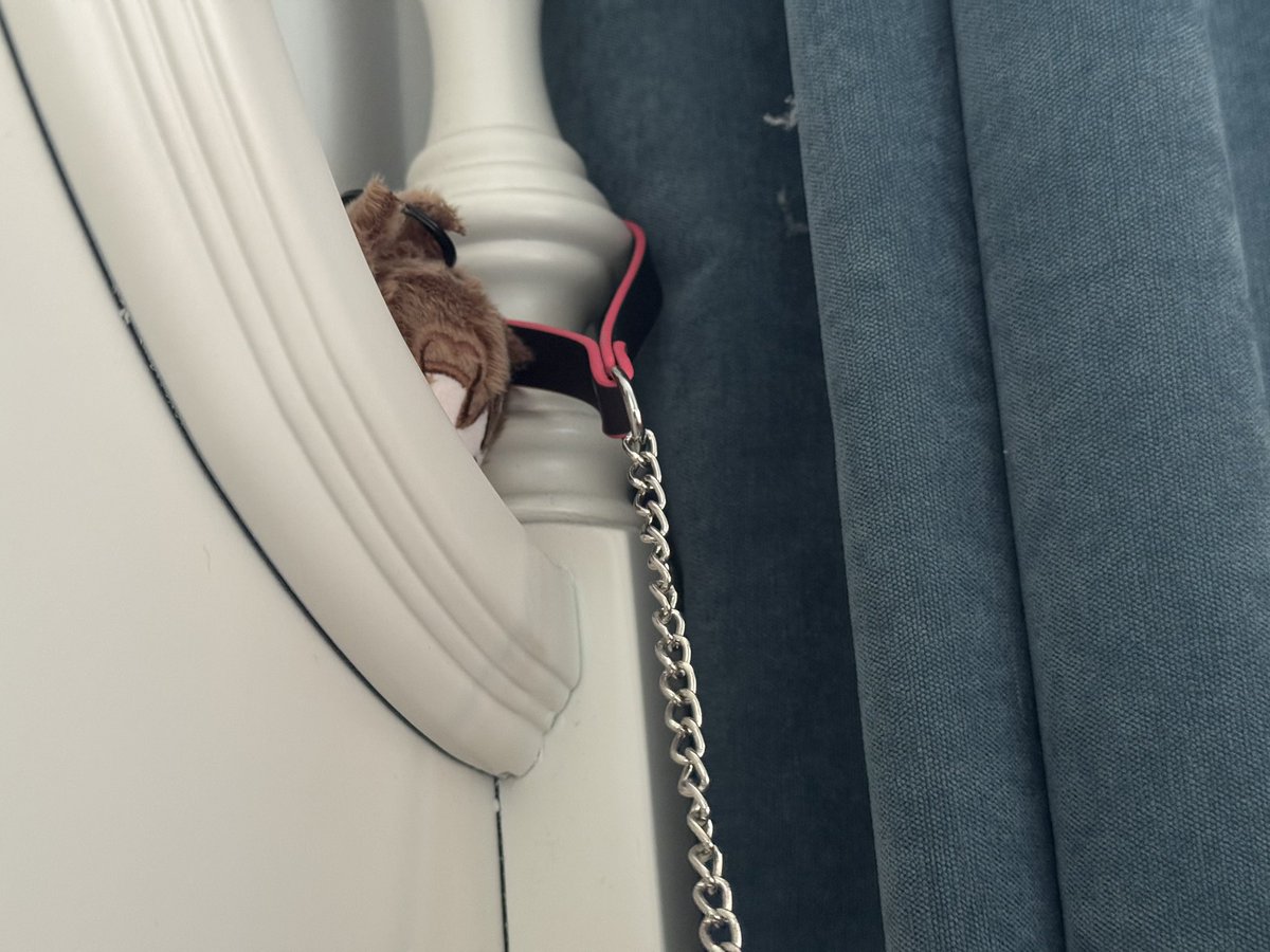 sufferingtree's tweet photo. 尝试了在玩玩具的时候 床头挂着项圈勒自己 爽尿了  人会有把自己勒死的风险吗 https://t.co/stwmFDR610