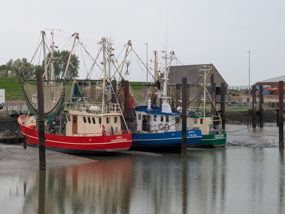 Nordwestroute's tweet photo. Moin aus Butjadingen... Mit Besuch von Carlo Schneider.

#Fedderwardersiel #butjadingen #nordsee #wesermarsch #Burhave #tossens #eckwarderhörne #Ruhwarden #dgzrs https://t.co/gurrMLBpT5