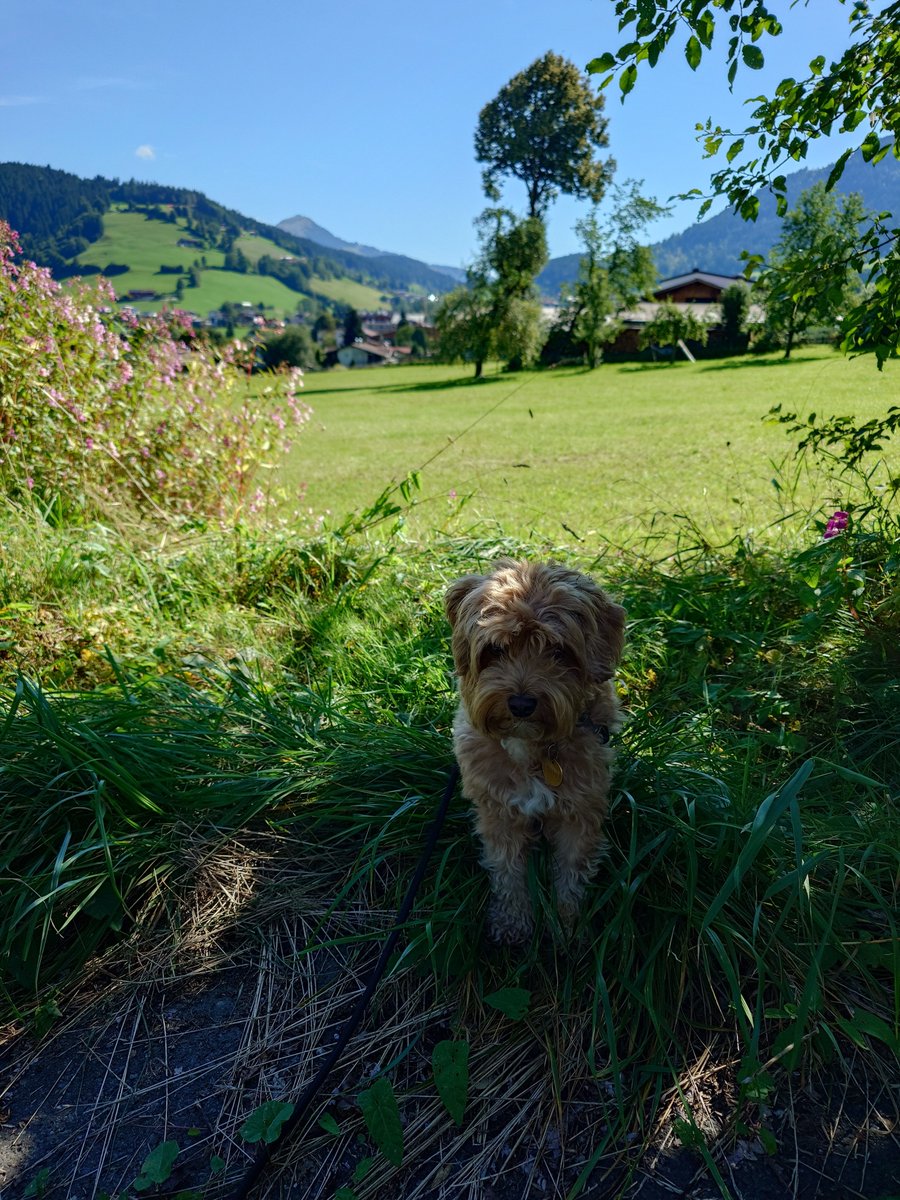 andy_blubb's tweet photo. @naturfrauu Meine Aussicht ☀️🥰 https://t.co/Qa6yCHSPNV