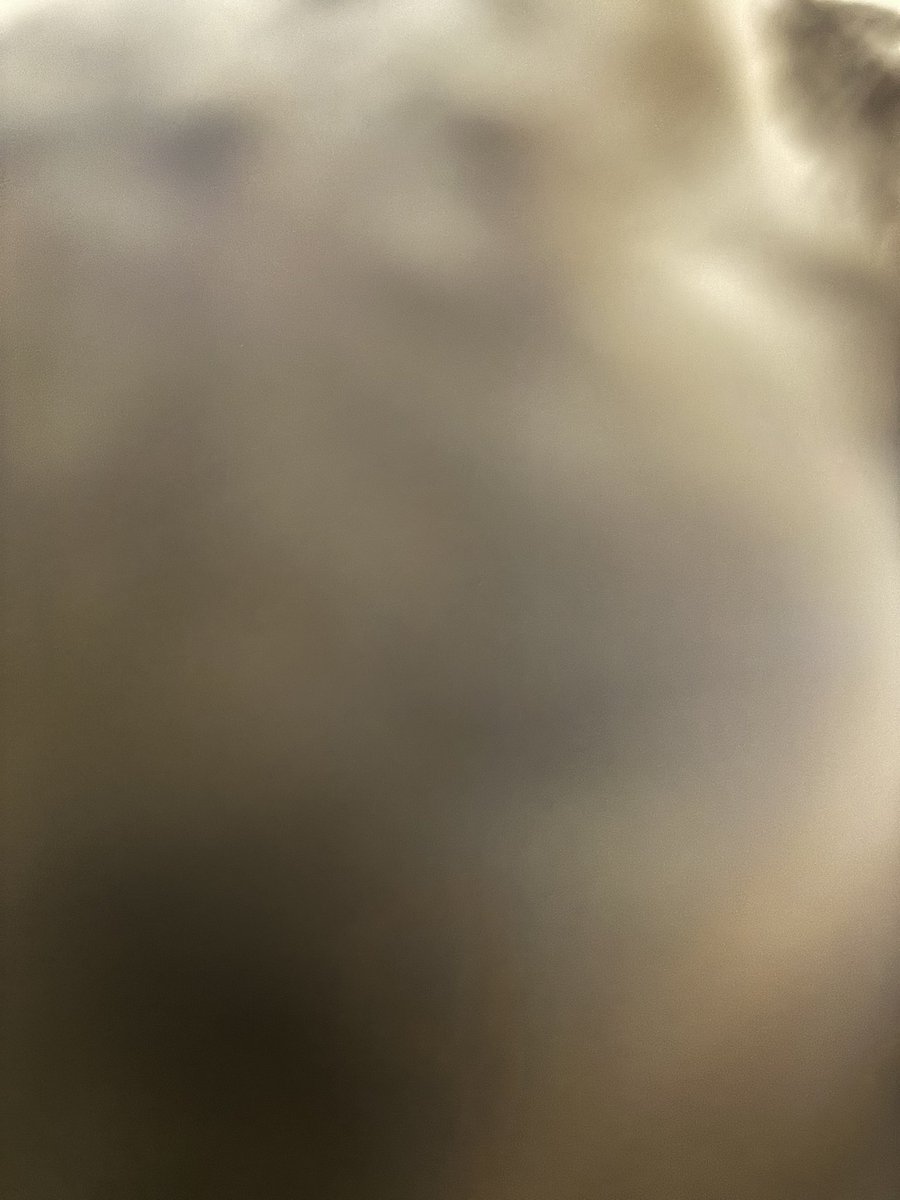 kato_kazuhiro_'s tweet photo. お待たせしました

バケツ職人さん本日ゲート試験合格しました
これで競走馬として完全に調教を進めることができます
コルシカくん優秀で順調に進んでおります

デビュー戦は是非応援に来てください🥹 https://t.co/cN7hpJfuOC