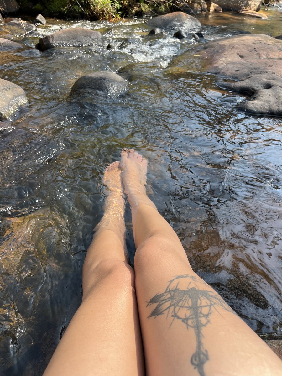 SteamWithin's tweet photo. The best part of a hike ♥︎ https://t.co/iLnXyY3onS