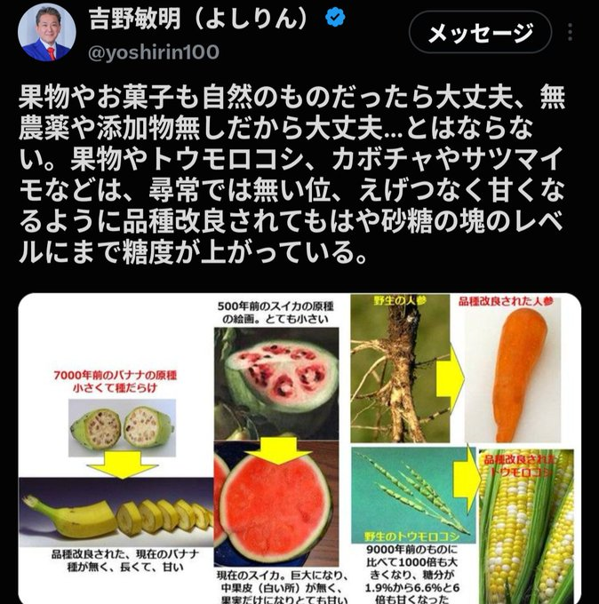 qvsd9's tweet photo. @erizo202111 サツマイモは砂糖の塊だからダメ

 ノリちゃんにはそのサツマイモで祝い

長男の啓明には生クリームと小麦の誕生日ケーキ

言動の一貫性が完全に崩壊しているな
どこからでもいい、皆でこの矛盾に盛大に突っ込みを入れてやれ 
​#四毒抜き #吉野敏明 https://t.co/rbaKMdnbAT