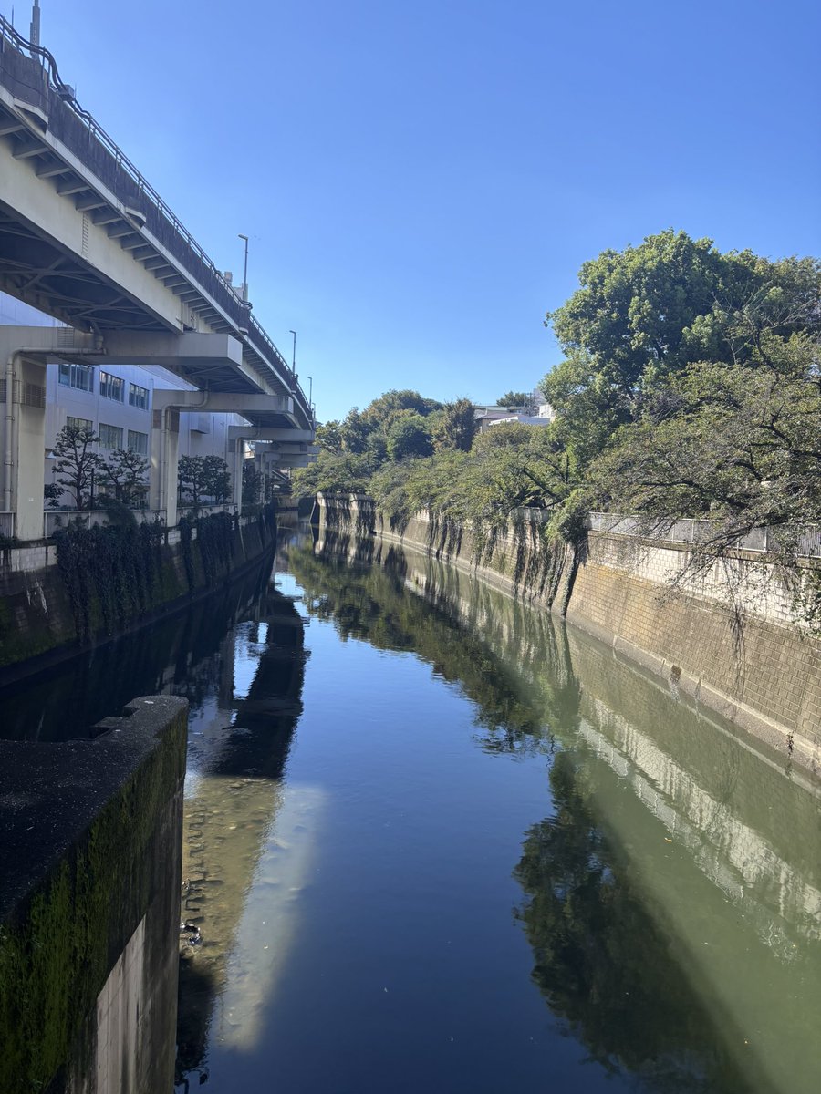 sa_geo_sa's tweet photo. 秋学期開始＋久しぶりの晴れだったので、まちある���してみました（早稲田〜江戸川橋〜護国寺���駒込）
主に文京区を歩いていましたが、文京区の道のあちらこちらに地名の説明があり、歩いていて非常に学びになりました！全体的に坂のアップダウンが多く、台地に由来する地形の複雑さを体感できました！ https://t.co/xxuIhZB764