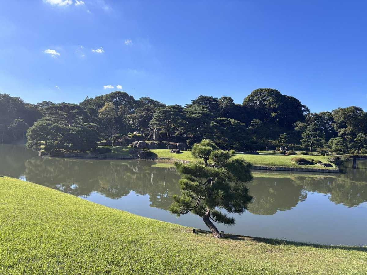 sa_geo_sa's tweet photo. 秋学期開始＋久しぶりの晴れだったので、まちある���してみました（早稲田〜江戸川橋〜護国寺���駒込）
主に文京区を歩いていましたが、文京区の道のあちらこちらに地名の説明があり、歩いていて非常に学びになりました！全体的に坂のアップダウンが多く、台地に由来する地形の複雑さを体感できました！ https://t.co/xxuIhZB764