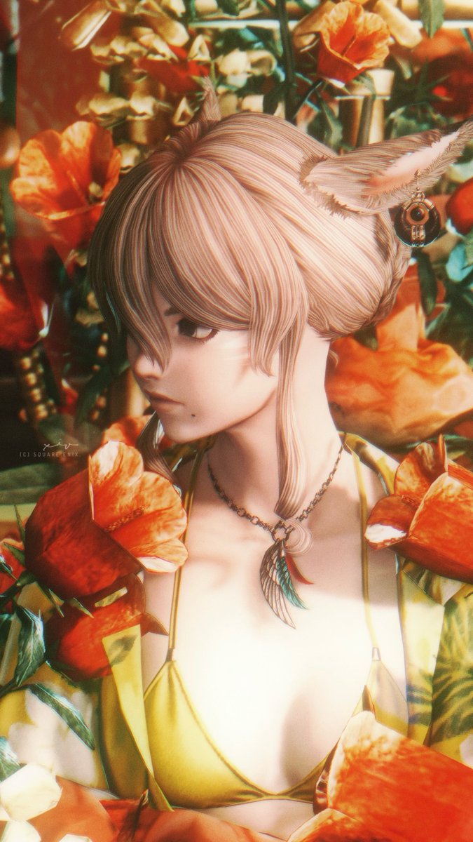 sssuiiif's tweet photo. 0260”┊#FF14_pom ︎𓐃 https://t.co/FsgFBe0tCG