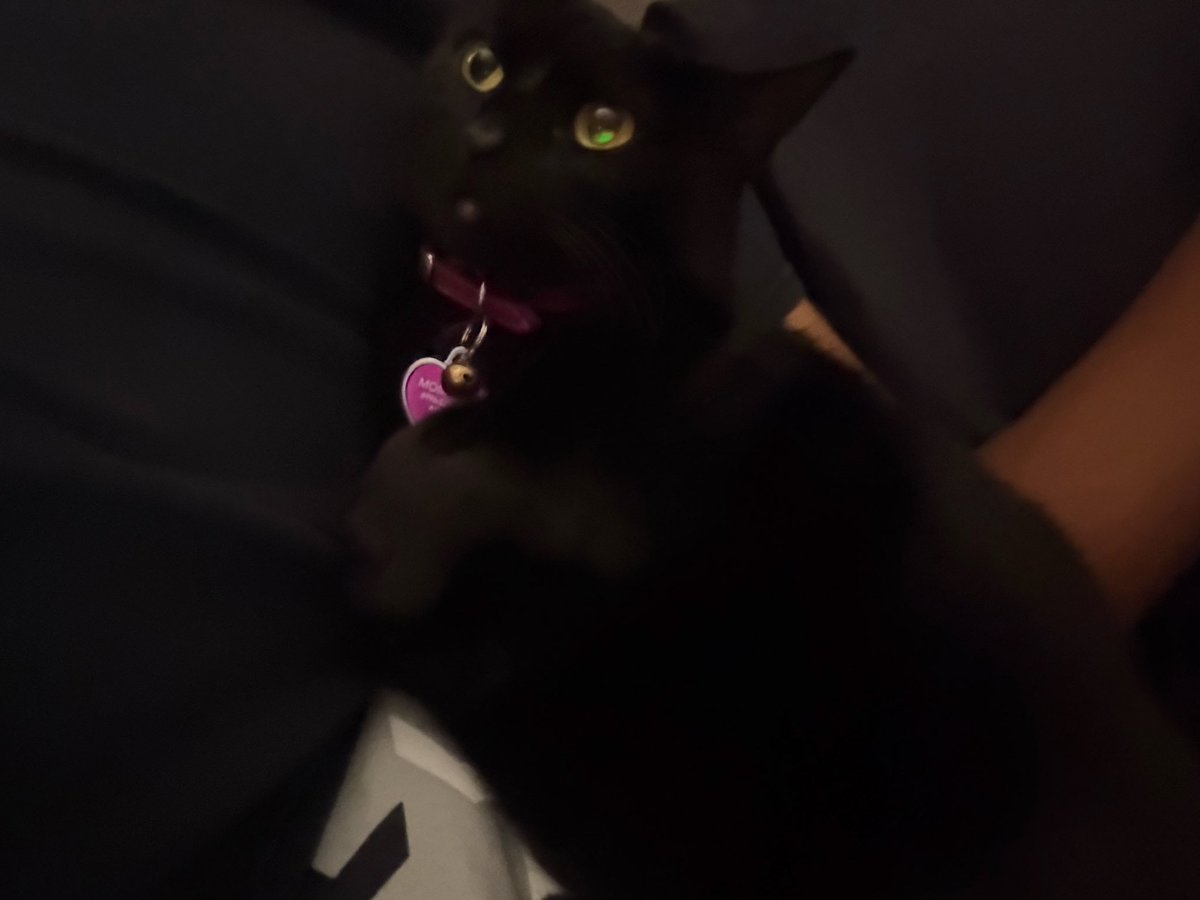 servinbagss's tweet photo. my pussy needs a daddy 😕😓her old one abandoned her https://t.co/G4tzGGCEI8