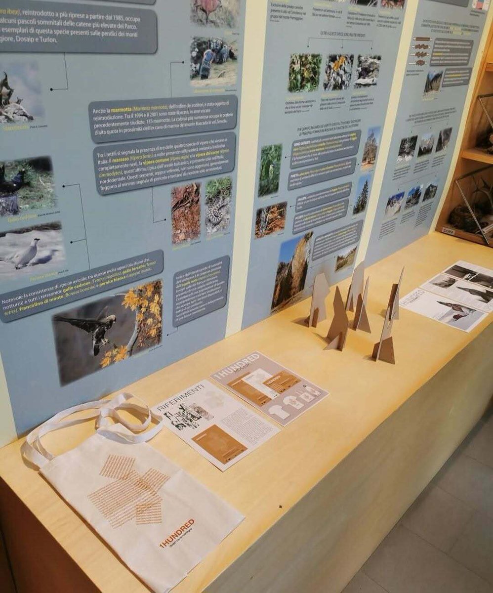 parcoDF's tweet photo. Un secolo di CAI attraverso gli occhi dei giovani
Il Liceo Artistico Galvani celebra il centenario della Sezione di Pordenone
LEGGI L'ARTICOLO SULLA NOSTRA PAGINA https://t.co/oq2KNaqGvP
Ph. Istituto Galvani
#idee #anniversari #progettiscuole #parcodolomitifriulane https://t.co/293z3HxN4Q