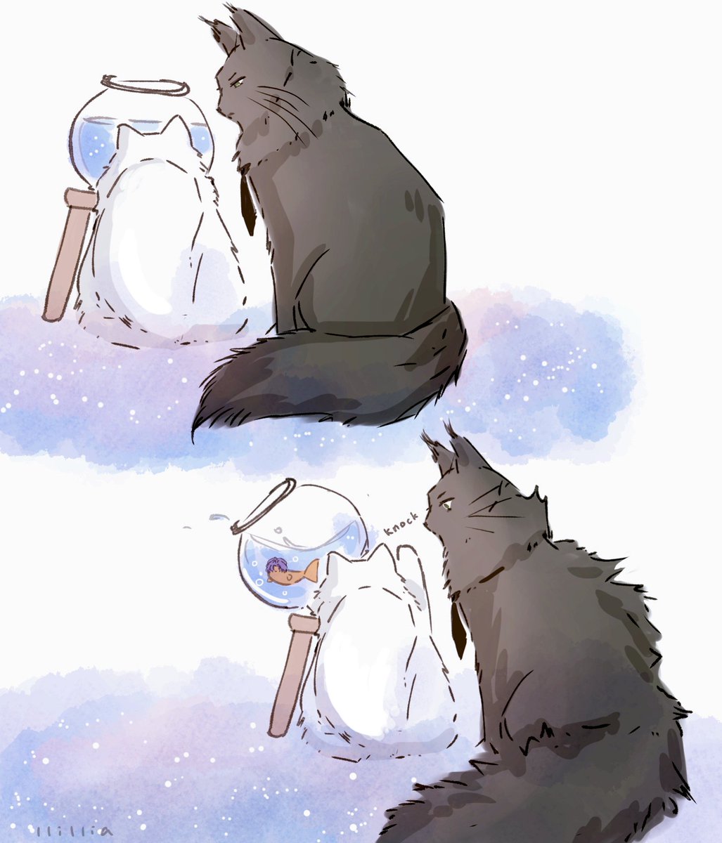 llillia__'s tweet photo. Aquarium date(?) https://t.co/gK24UoJY7F