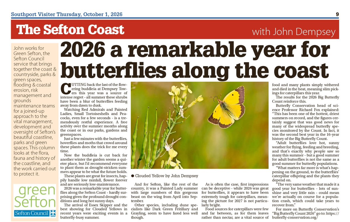 GreenSefton_'s tweet photo. If you missed the Sefton Coast column this week, you can read it online here:
https://t.co/tMWuHoS07L
@seftoncouncil @NTFormby @NENorthWest @savebutterflies @Lancswildlife @RSPB_Ribble https://t.co/EDYZBg5GbJ