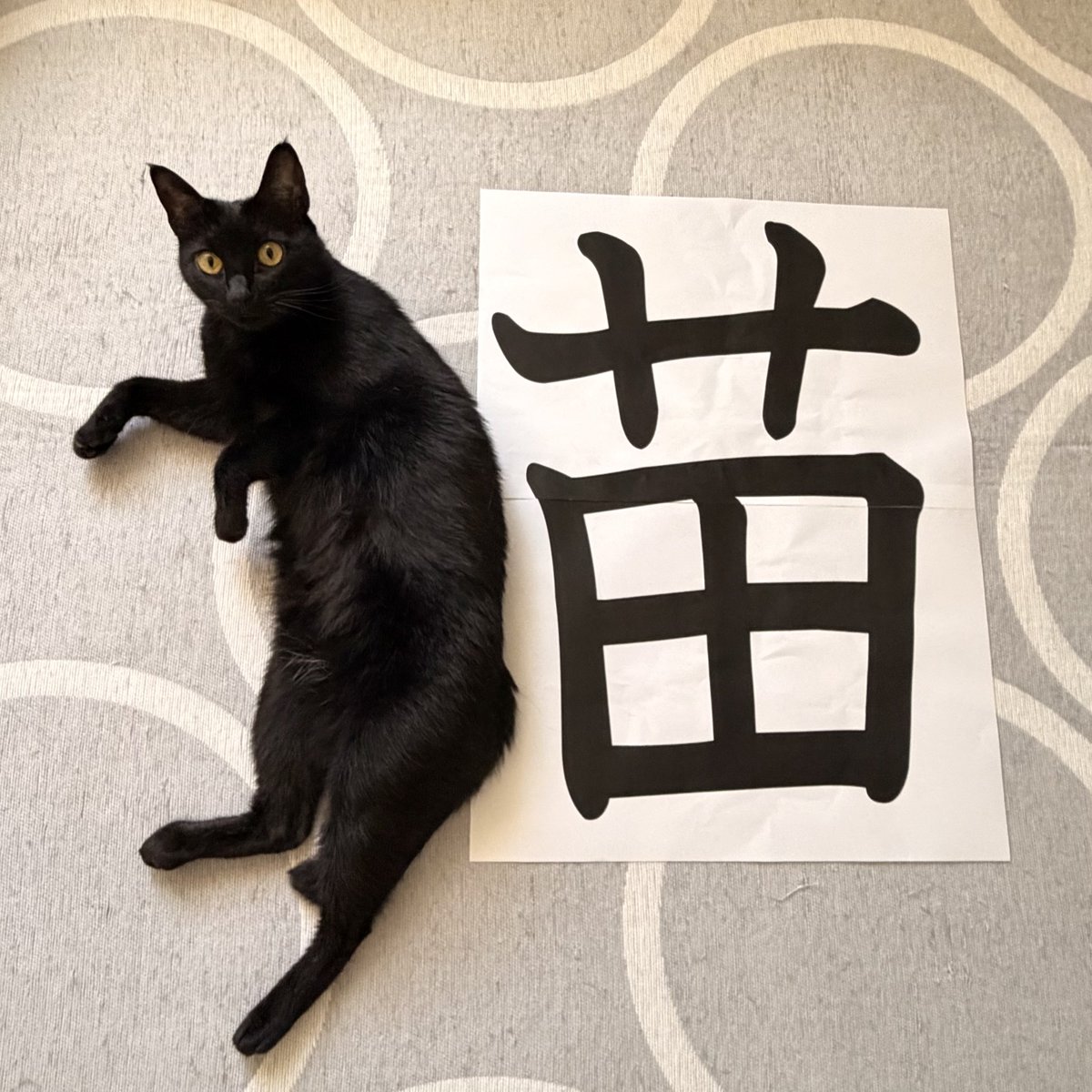 Teagle_Noir's tweet photo. リアルけものへんver.2026 https://t.co/Uusj1DVnkf