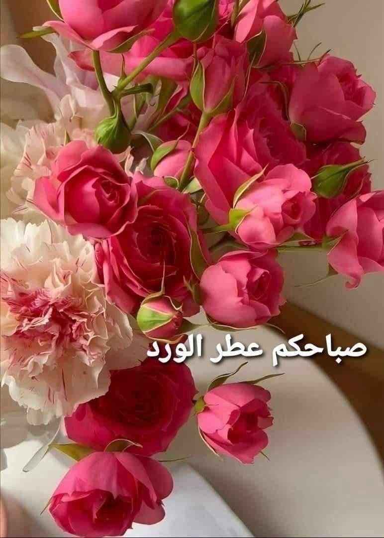 Jamila593087's tweet photo. 🌞صباح هادئ يشبه الأشياء التي تأتي في وقتها دون أن نطلبها🌿 https://t.co/6GxGJD5a49